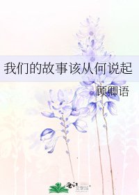 我们的故事该从何说起