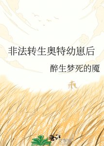非法转生奥特幼崽后